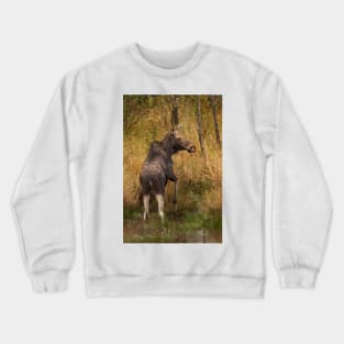 I'm outa here - Moose, Algonquin Park, Canada Crewneck Sweatshirt